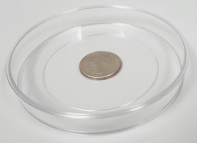Molded clear dish